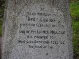 image of grave number 919811